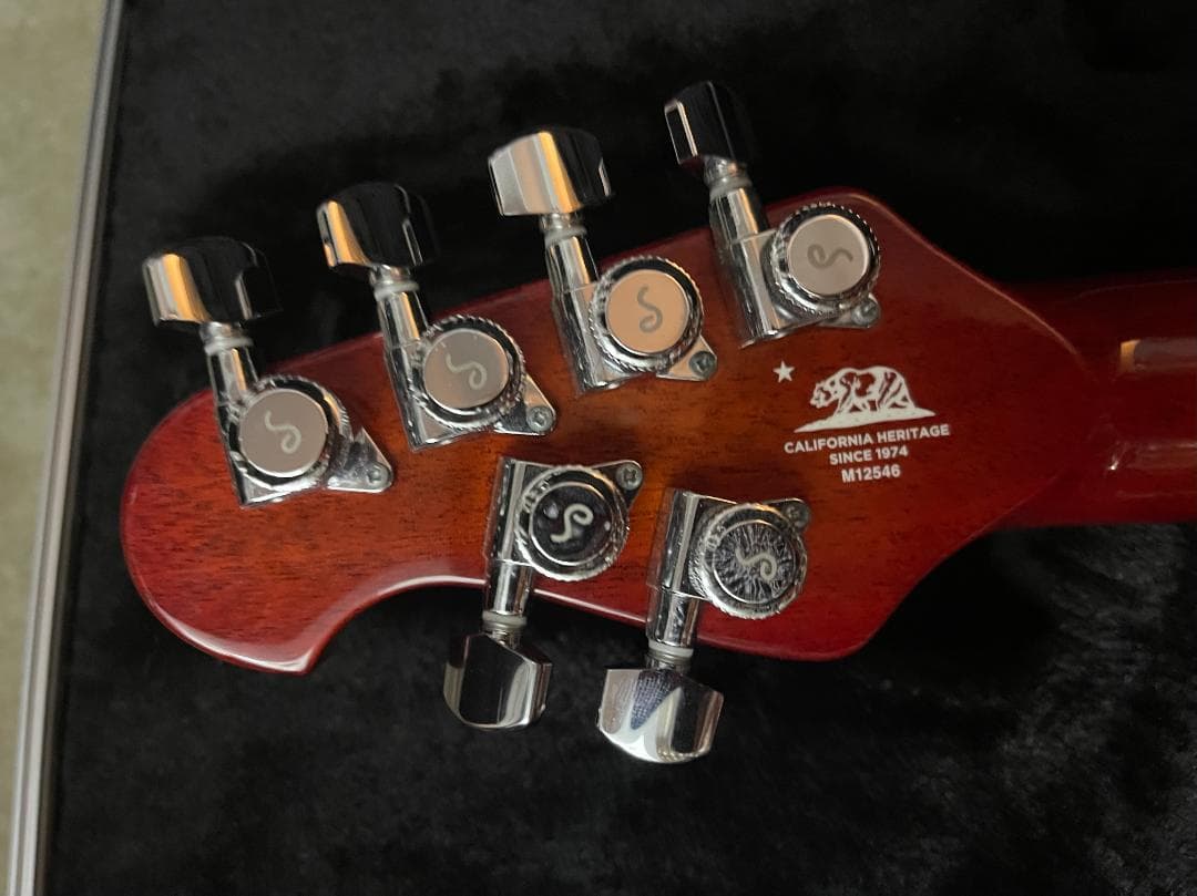 ギター AndrewD2021 Ernie Ball Jon Petrucci