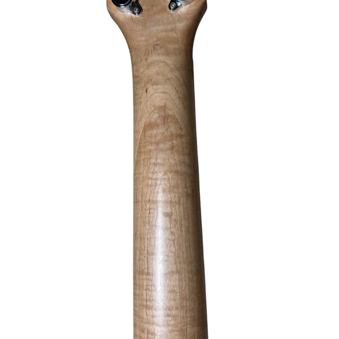 【美品】PIGNOSE ピグノーズ PGG-200 アンプ内蔵ギター