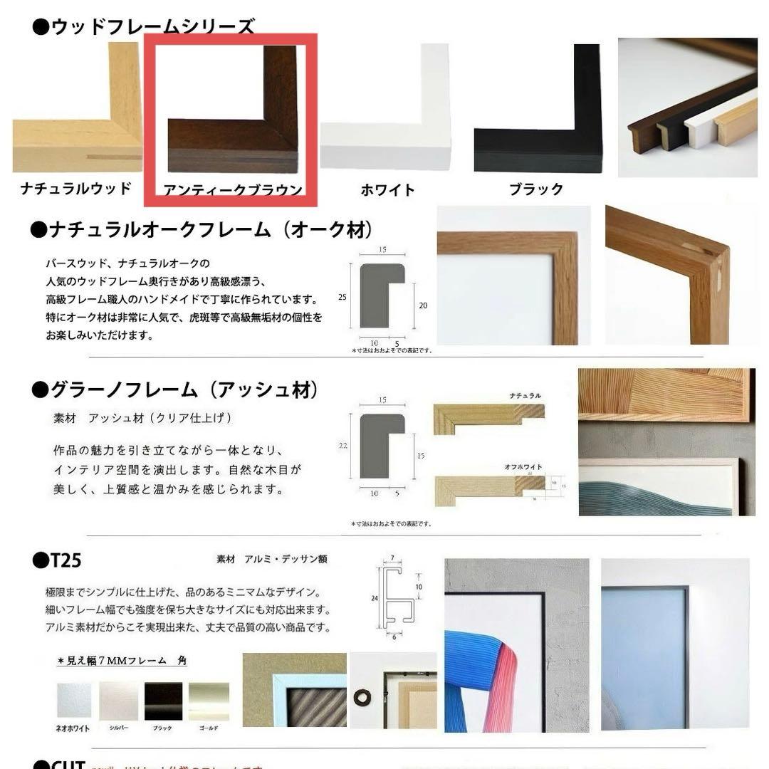 WRONGSHOP ロナン・ブルレック Drawing 5特注フレームセット