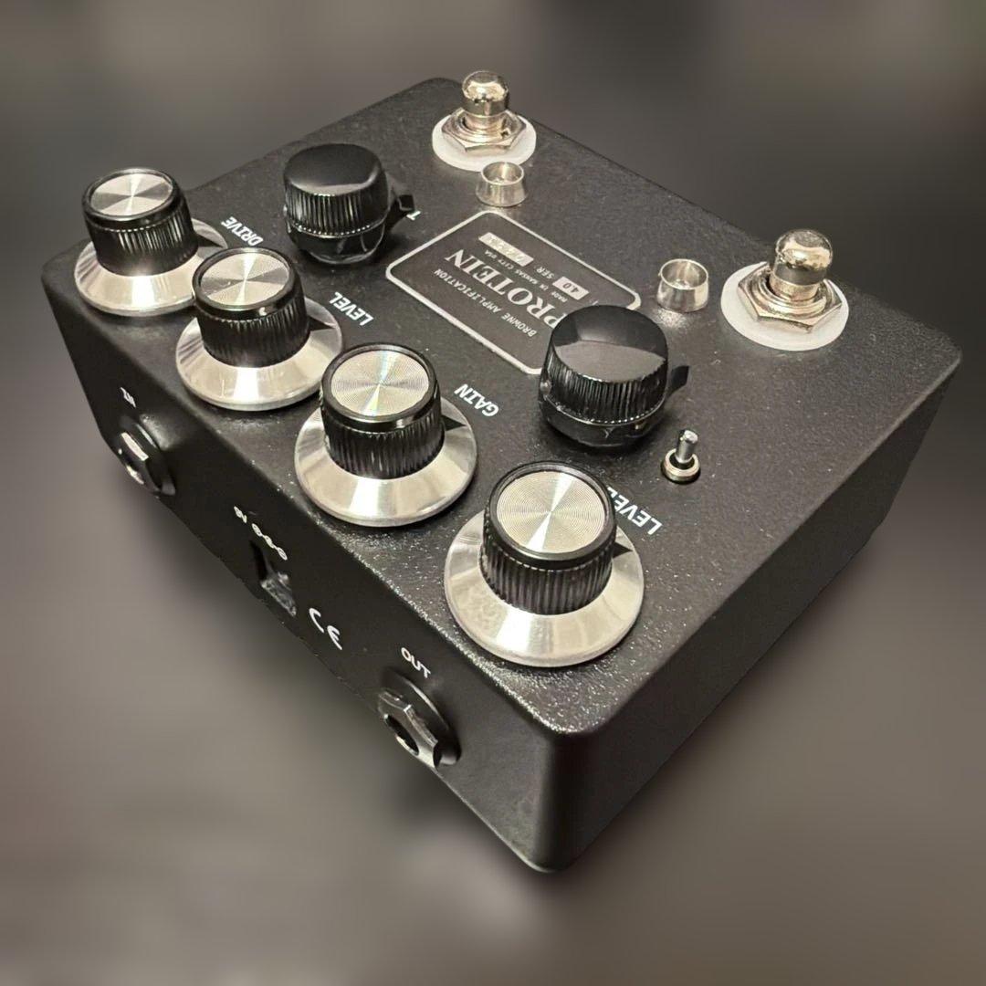 ギター Browne Amplification Protein V4