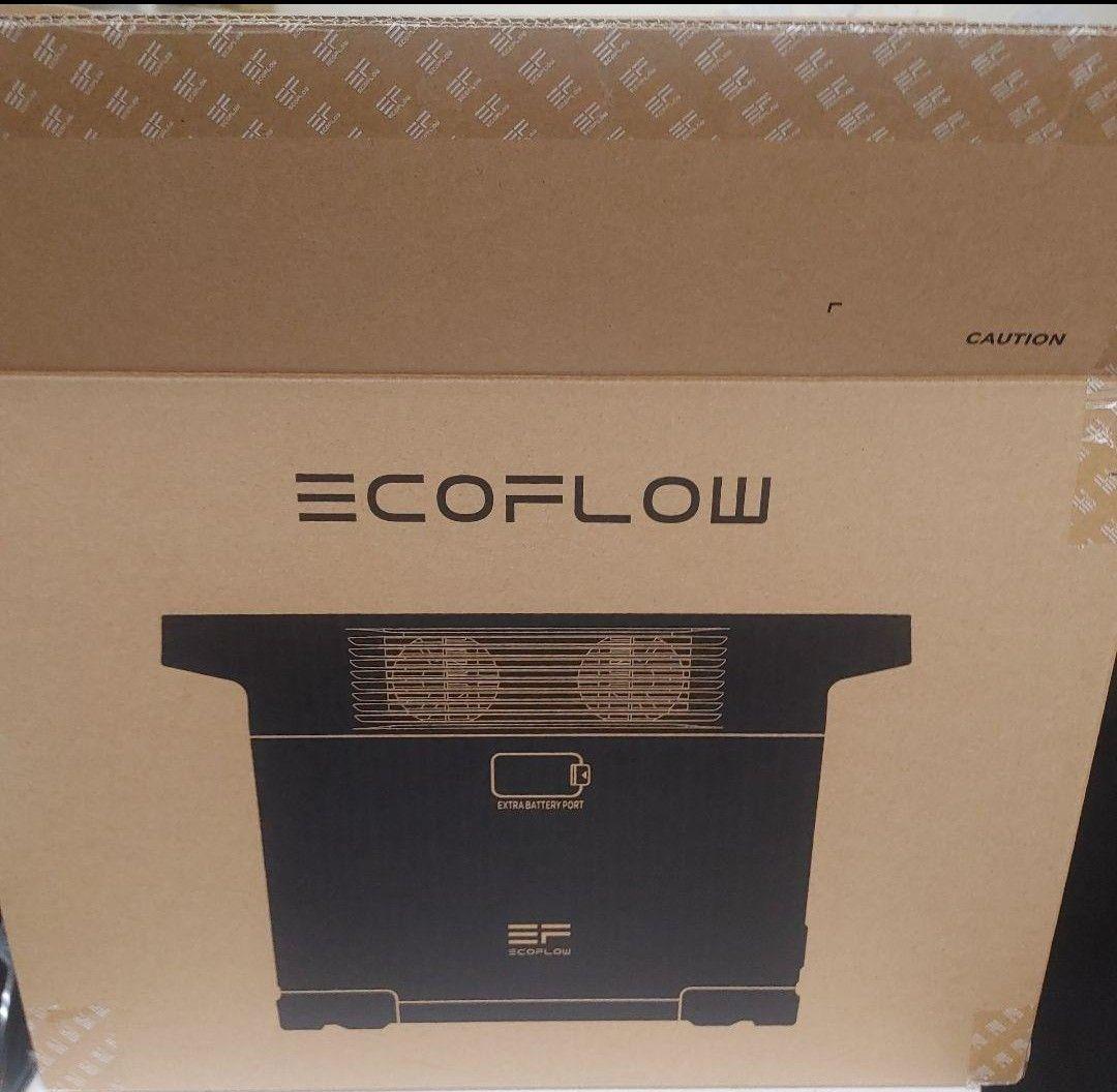 か*つ様 正規整備済品　EcoFlow DELTA 2 ポータブル電源