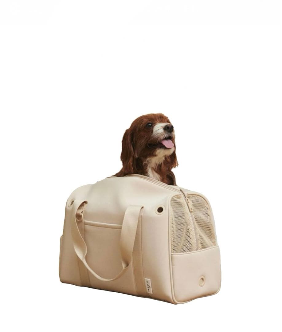 【新品】CITYDOG キャリーバッグ　Mサイズ