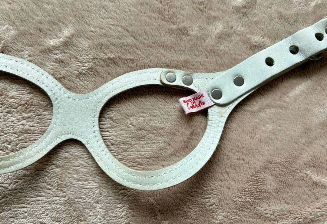 バディベルト Body Belts ピンクハーネス & リード セット　バディー