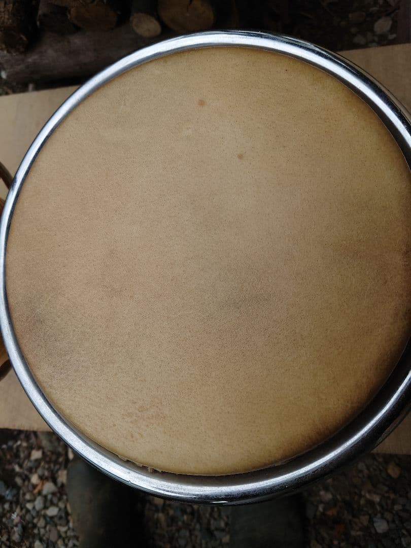 ボンゴ