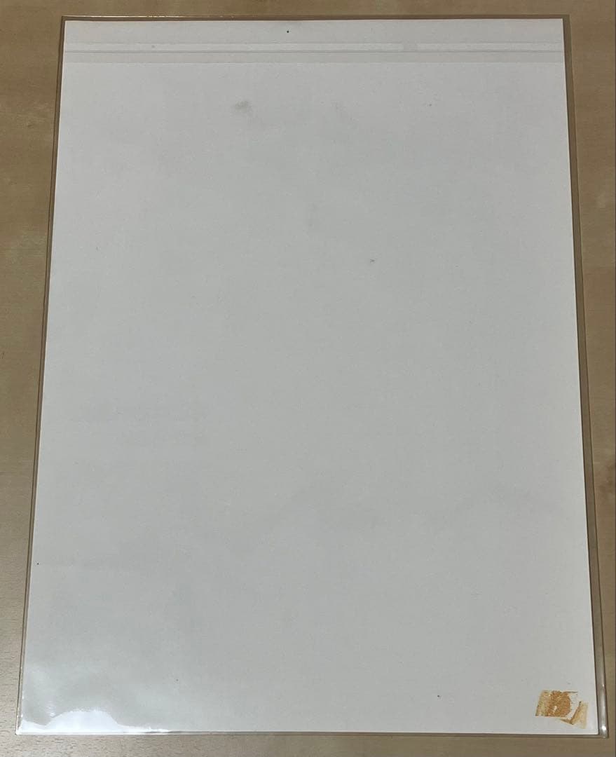 ワンピース　複製原画　書店限定　非売品　エニエスロビー編