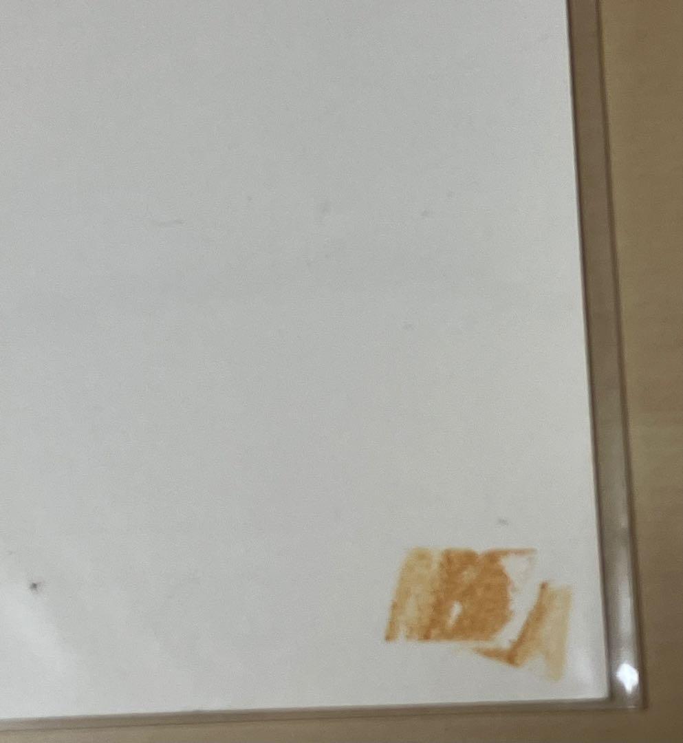 ワンピース　複製原画　書店限定　非売品　エニエスロビー編