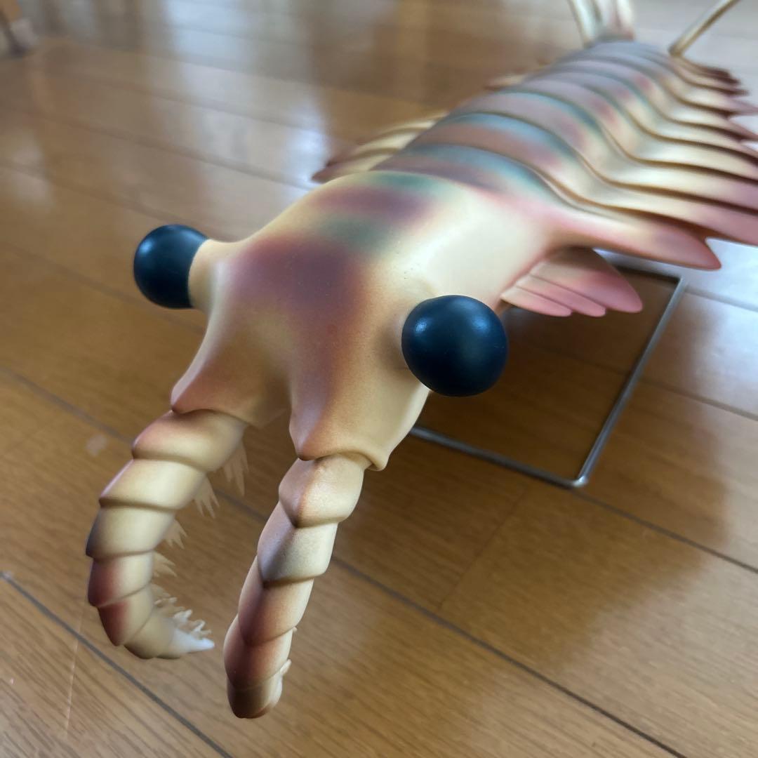 カンブリア紀　アノマロカリス　フィギュア　化石　復元モデル　NHKスペシャル