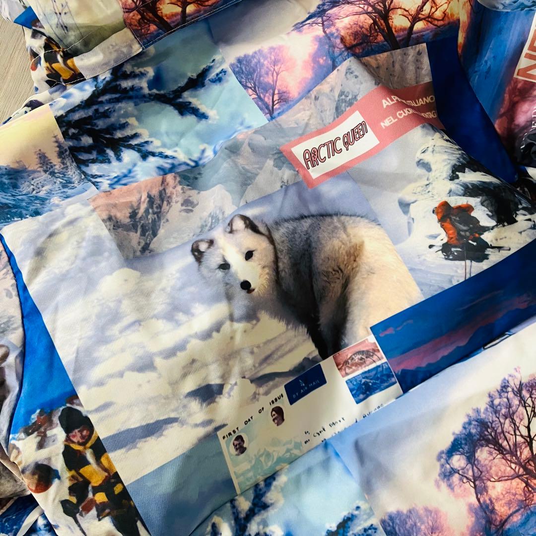 #W1 ✨ARCTICQUEEN✨スキーウェア 上下セット レディースS