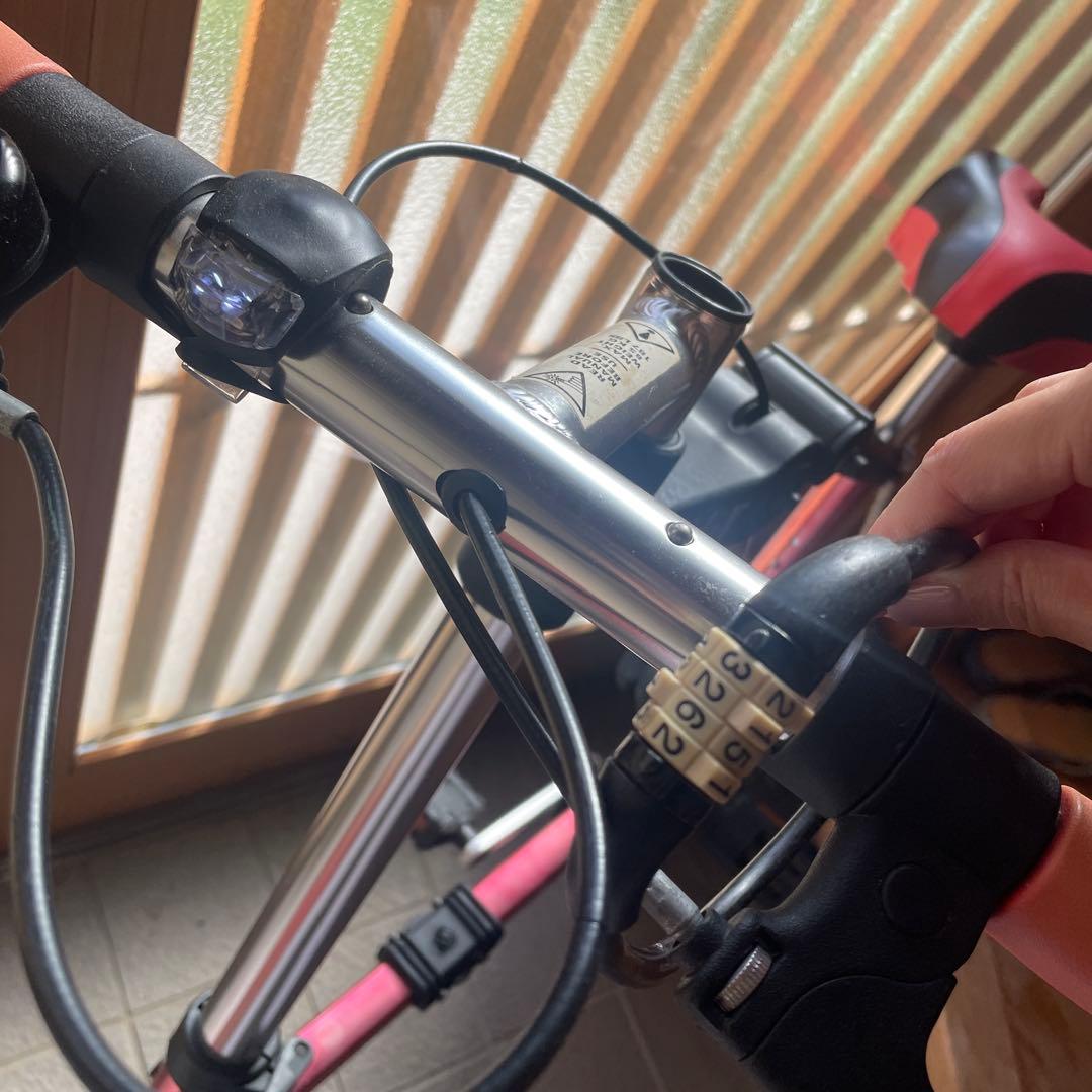 自転車本体 A-RIDE X