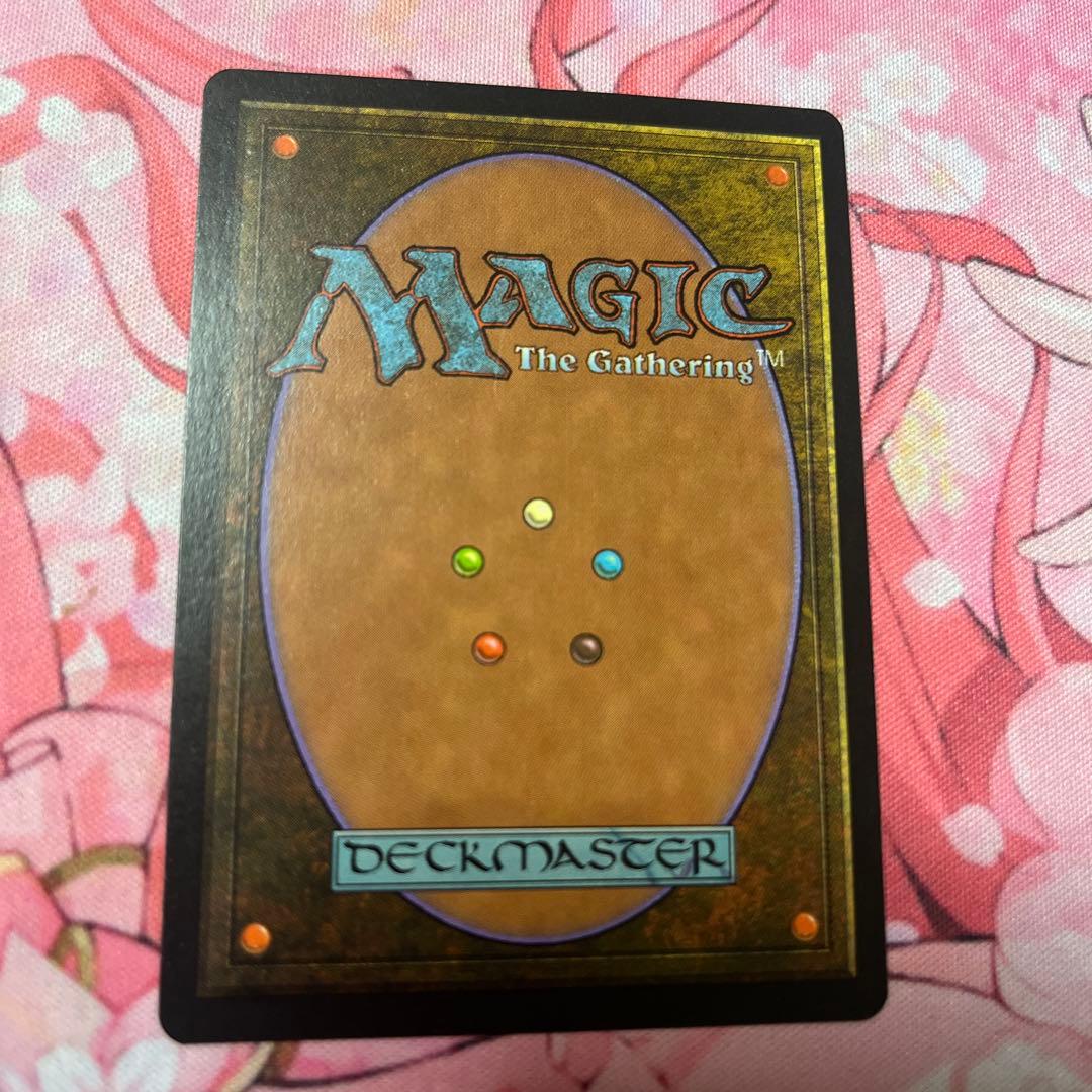 MTG大地の知識