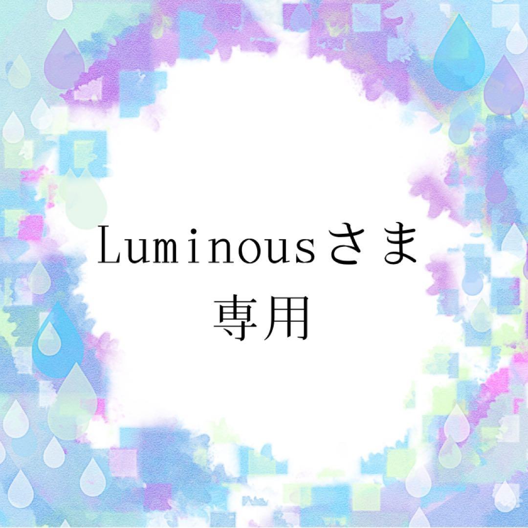 Luminousさま専用