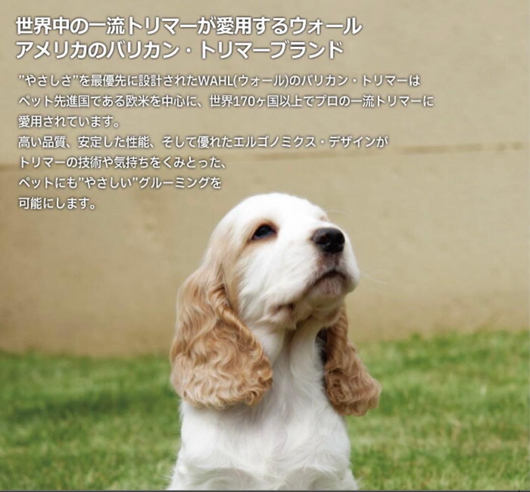 Wahl Bravura ベルベットレッド トリミング用