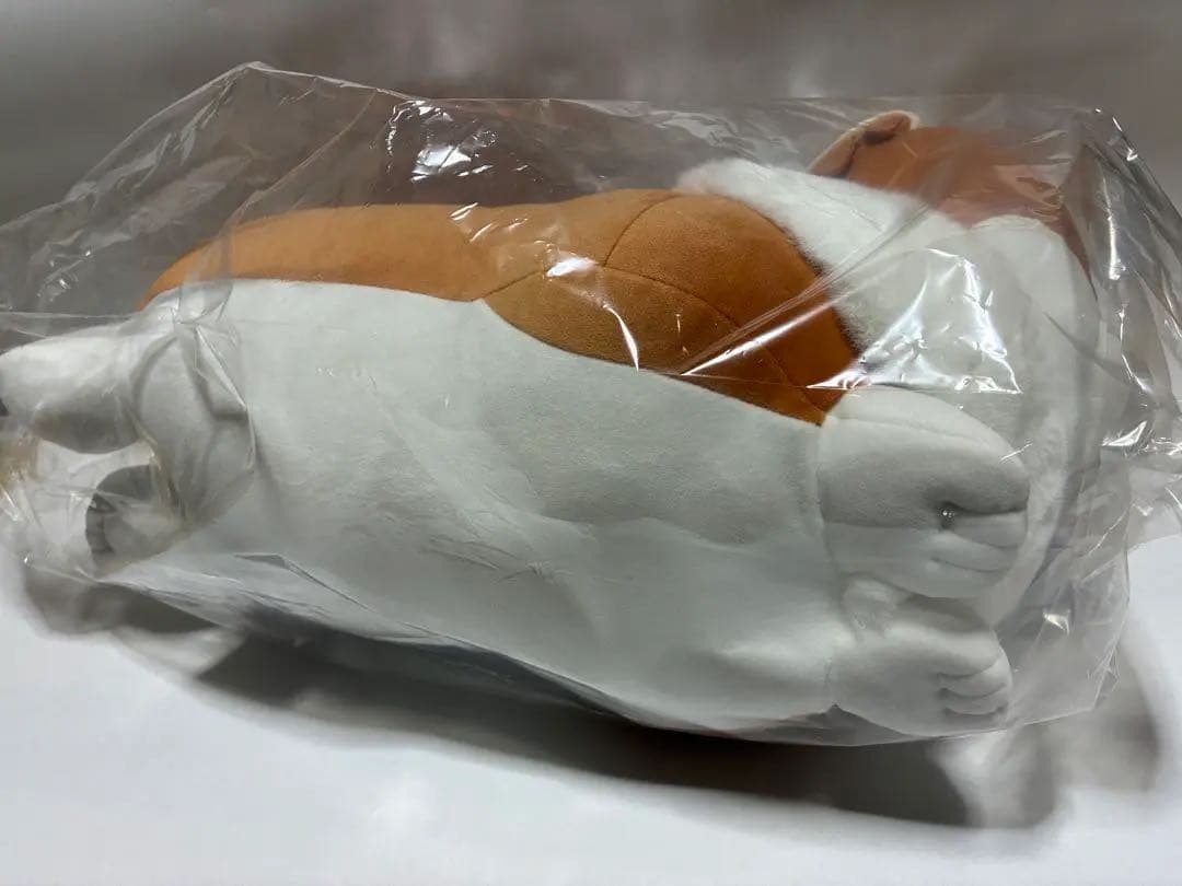 【新品未開封】ヨルシカ コーギーぬいぐるみ suisデザイン 前世 完全受注生産