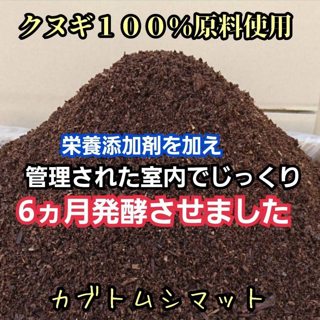 発酵マット入り！国産カブトムシ幼虫1頭飼育専用縦長クリアボト【30本セット】