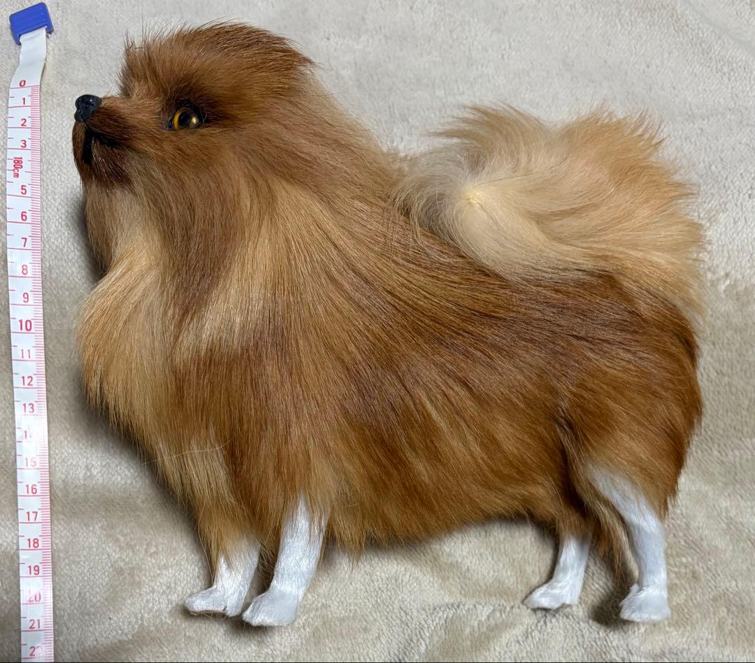 犬　ポメラニアン　リアル　置物