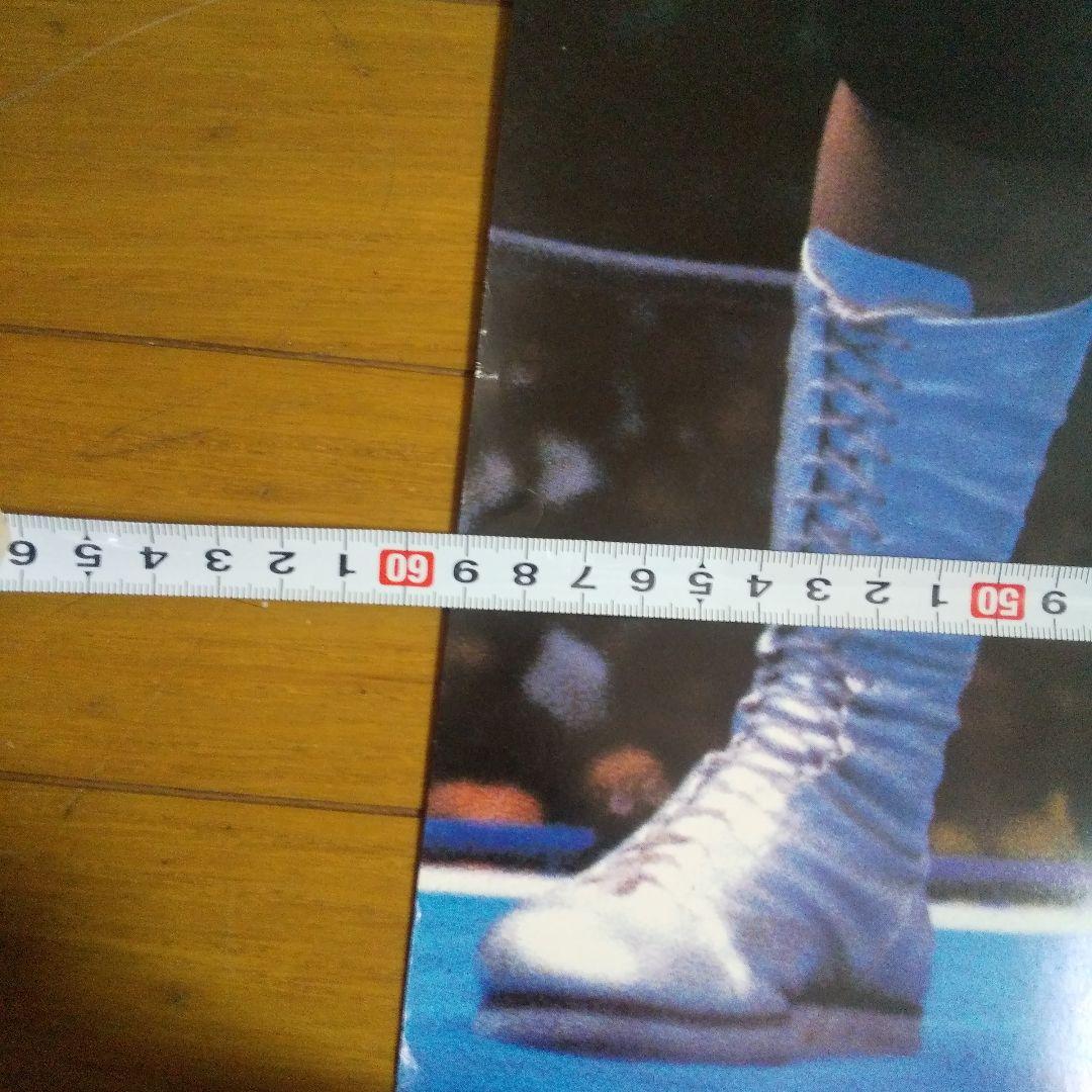 新日本プロレス IWGP 94年
