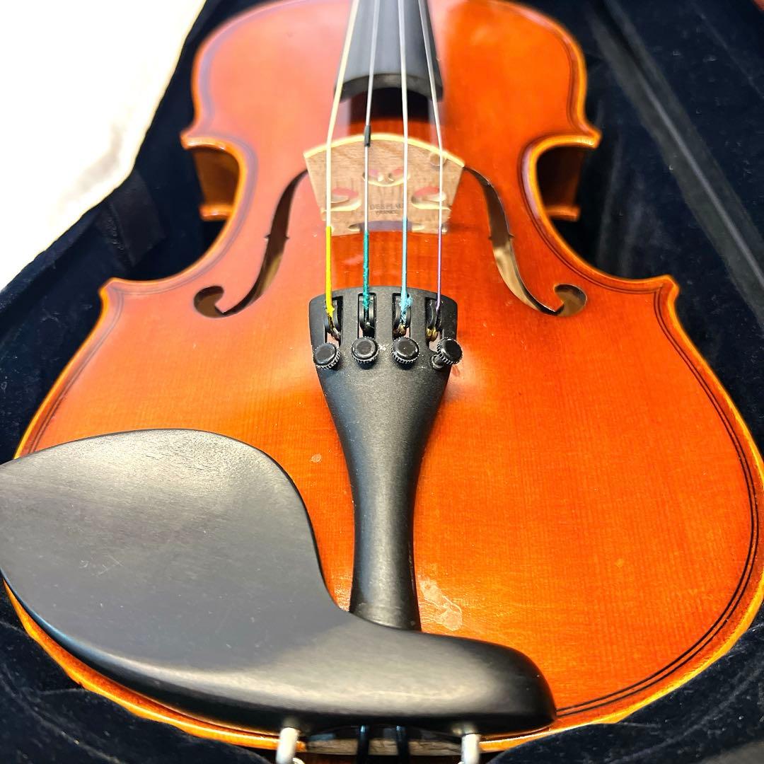 【良品】Andreas Eastman VL80 1/4 2021年製