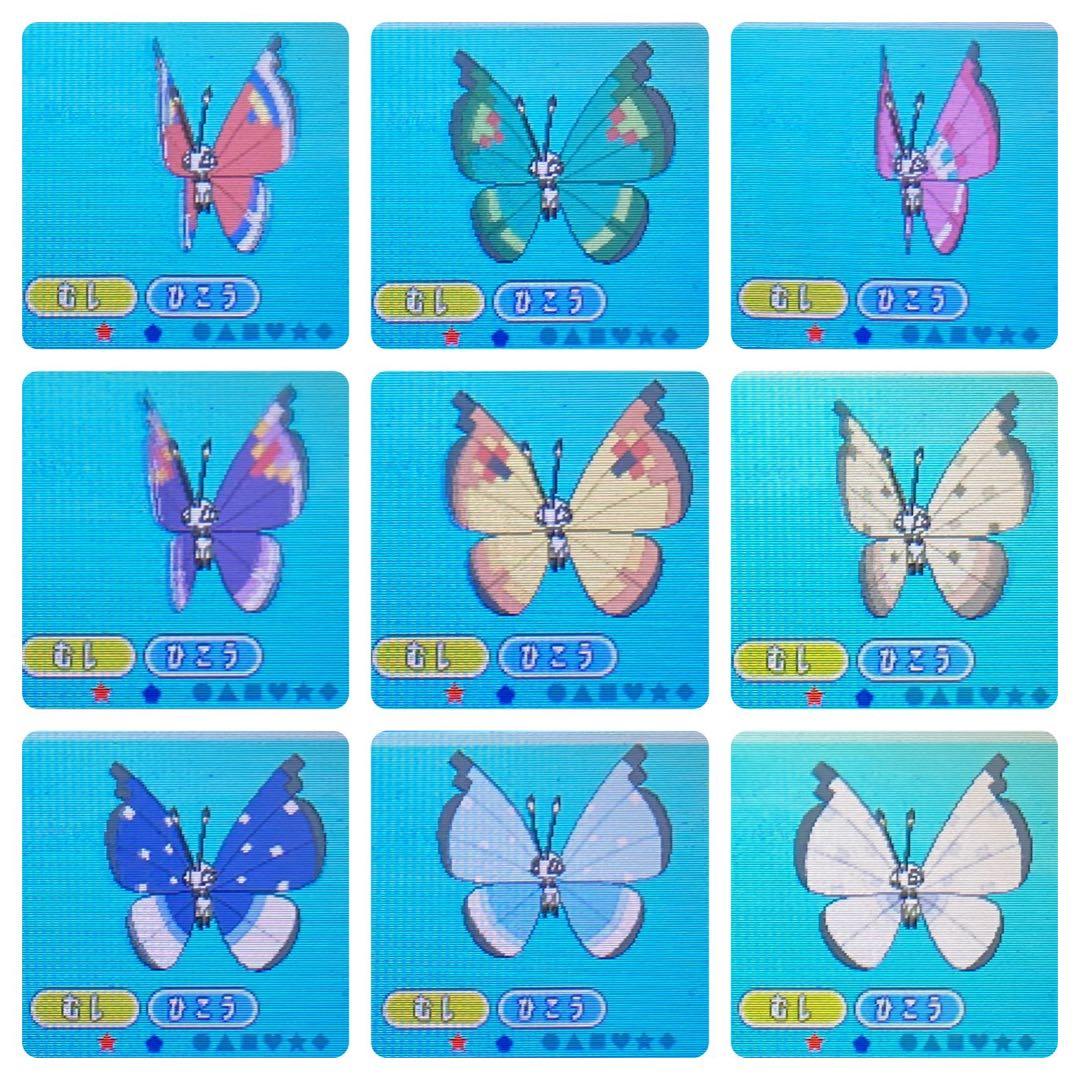 ポケットモンスター ムーン 配信色イーブイ 6.7世代リボンコンプ203