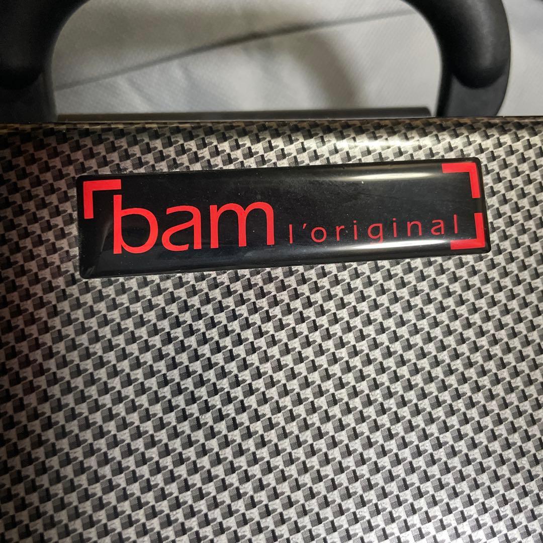 2/4まで！bam ヴィオラケース