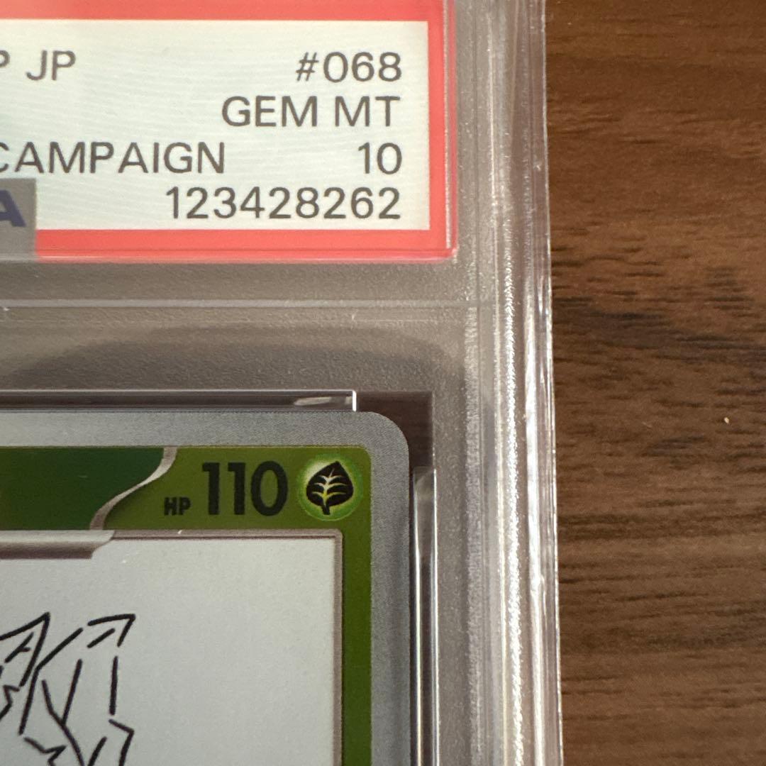 ポケモンカード リーフィア YU NAGABA