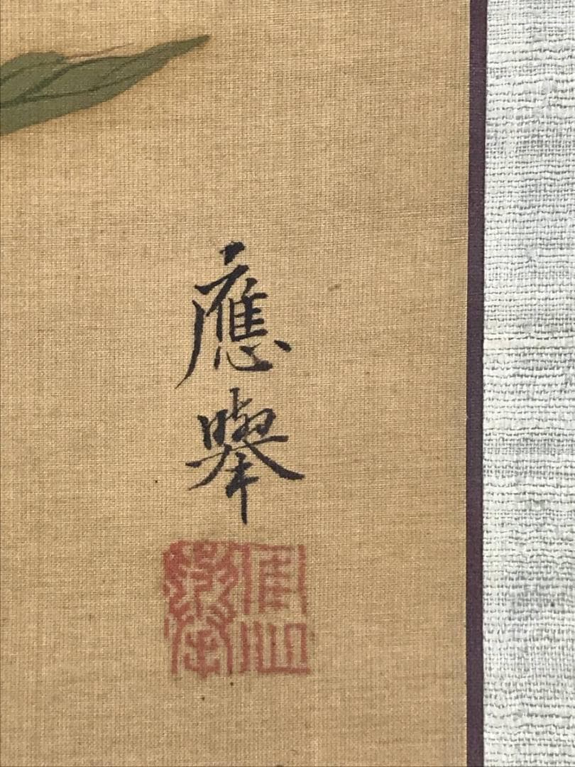 【模写】円山應挙/清風牡丹図/花図/横物/掛軸☆宝船☆AD-402