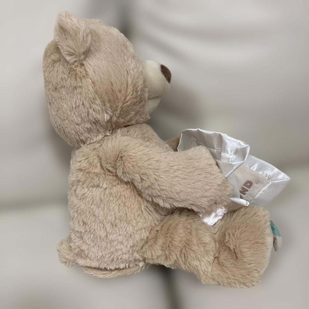 GUND ピーカーブーベア 赤ちゃん ベビー 英語 6053525 タグ付き