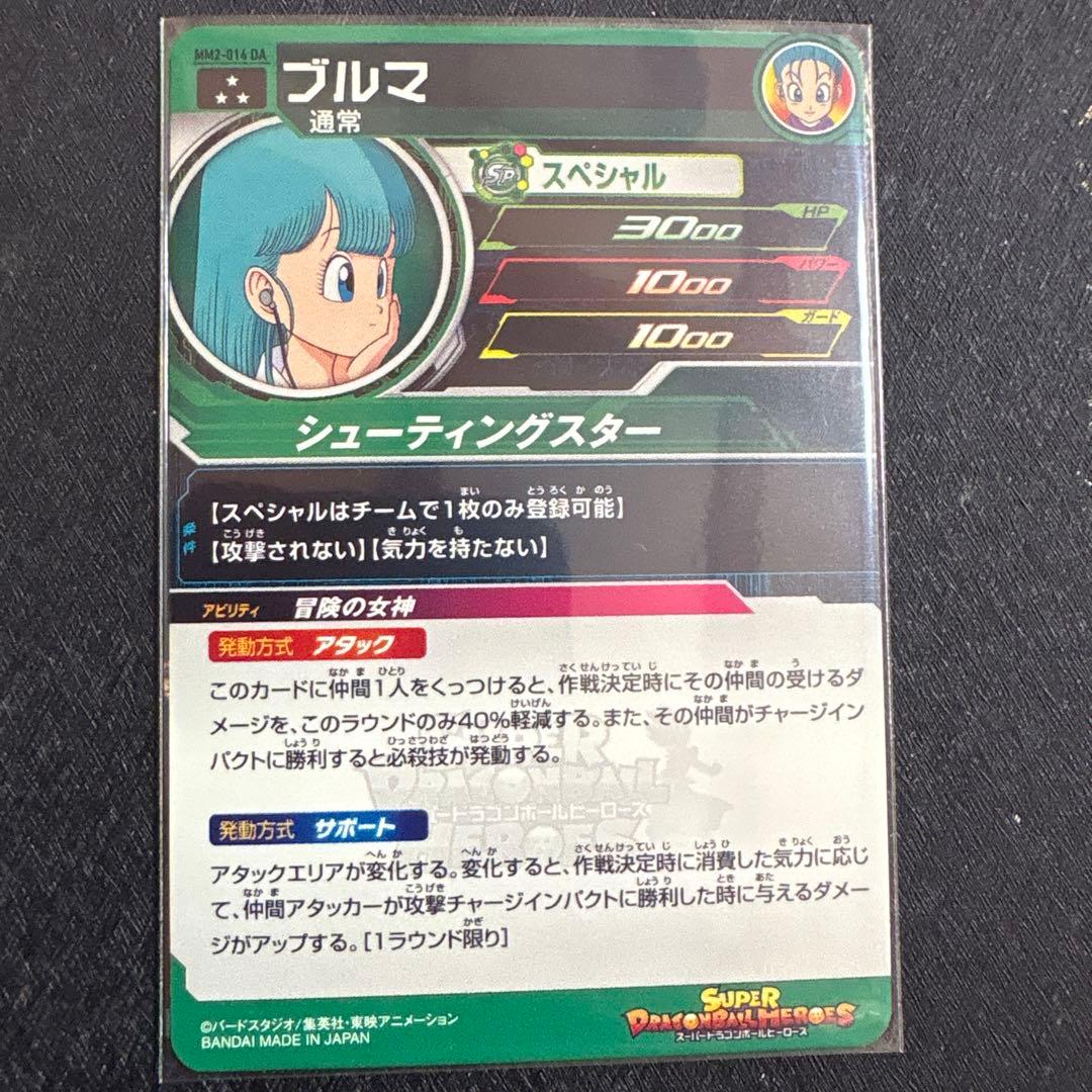 1395番　SDBH ブルマDA