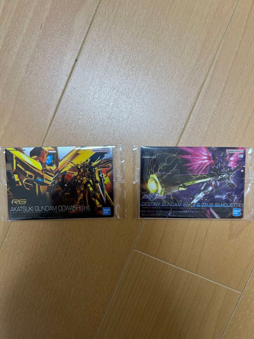 HG デスティニーSpecII&ゼウスシルエット　RG アカツキ　シラヌイパック