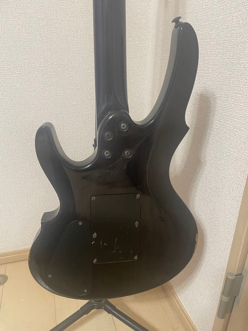 グラスルーツ レインディア エレキギター