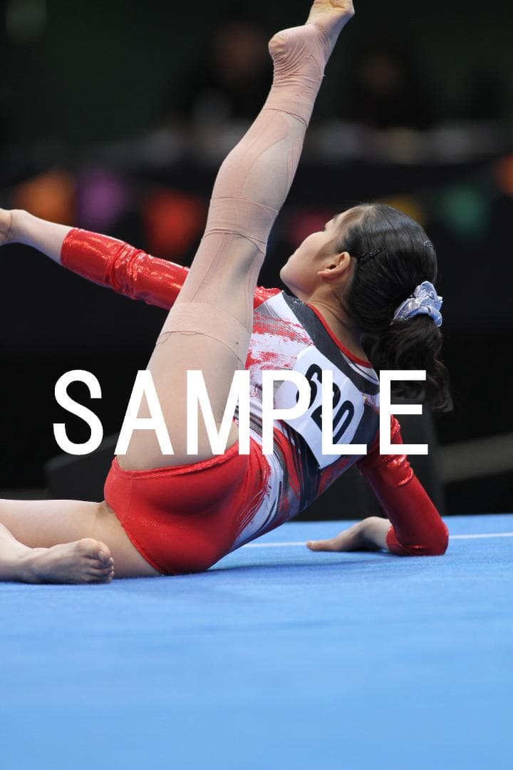 【セール中】2005～2015年 女子体操画像集(日本選手中心) 約4万枚