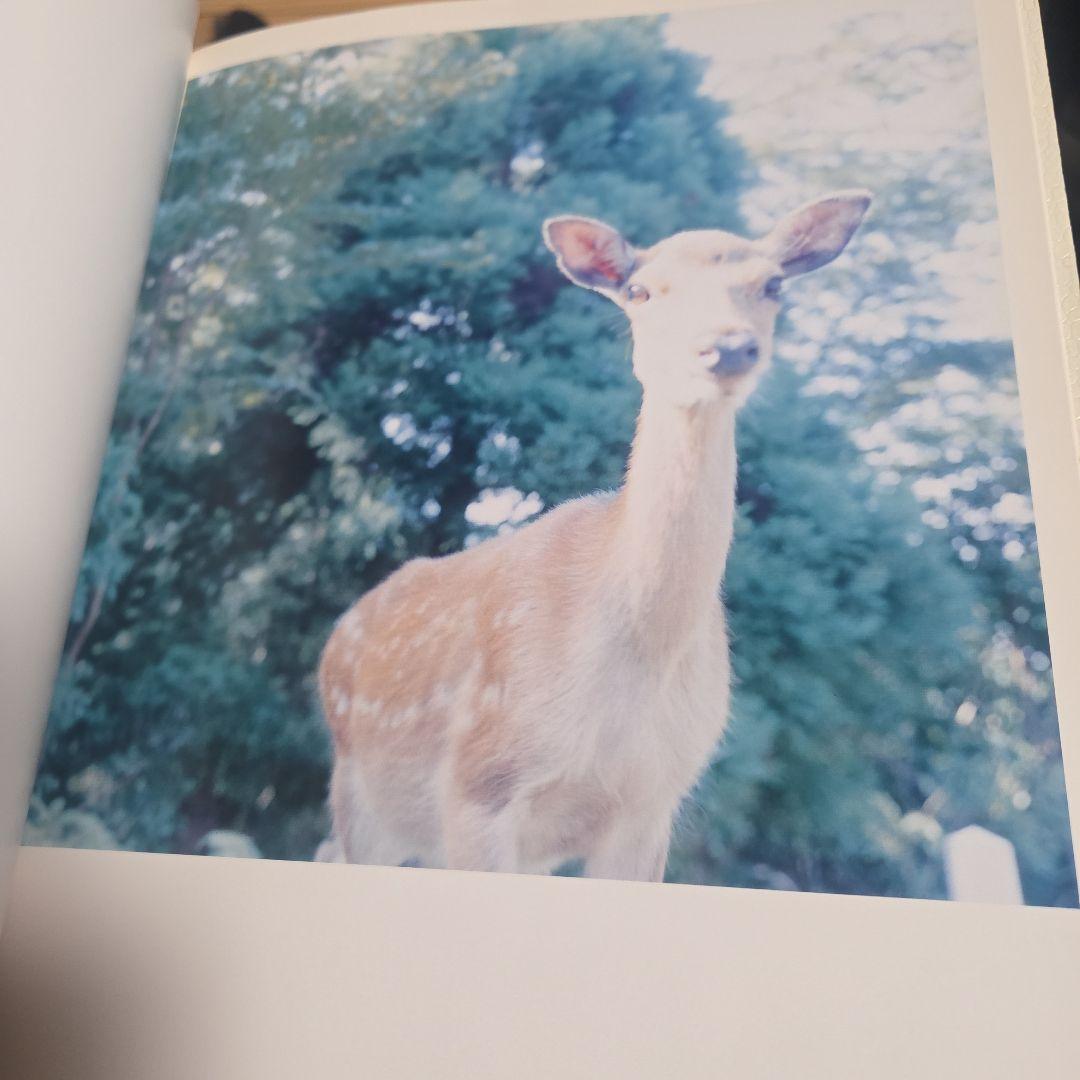 川内倫子　AILA 初版本