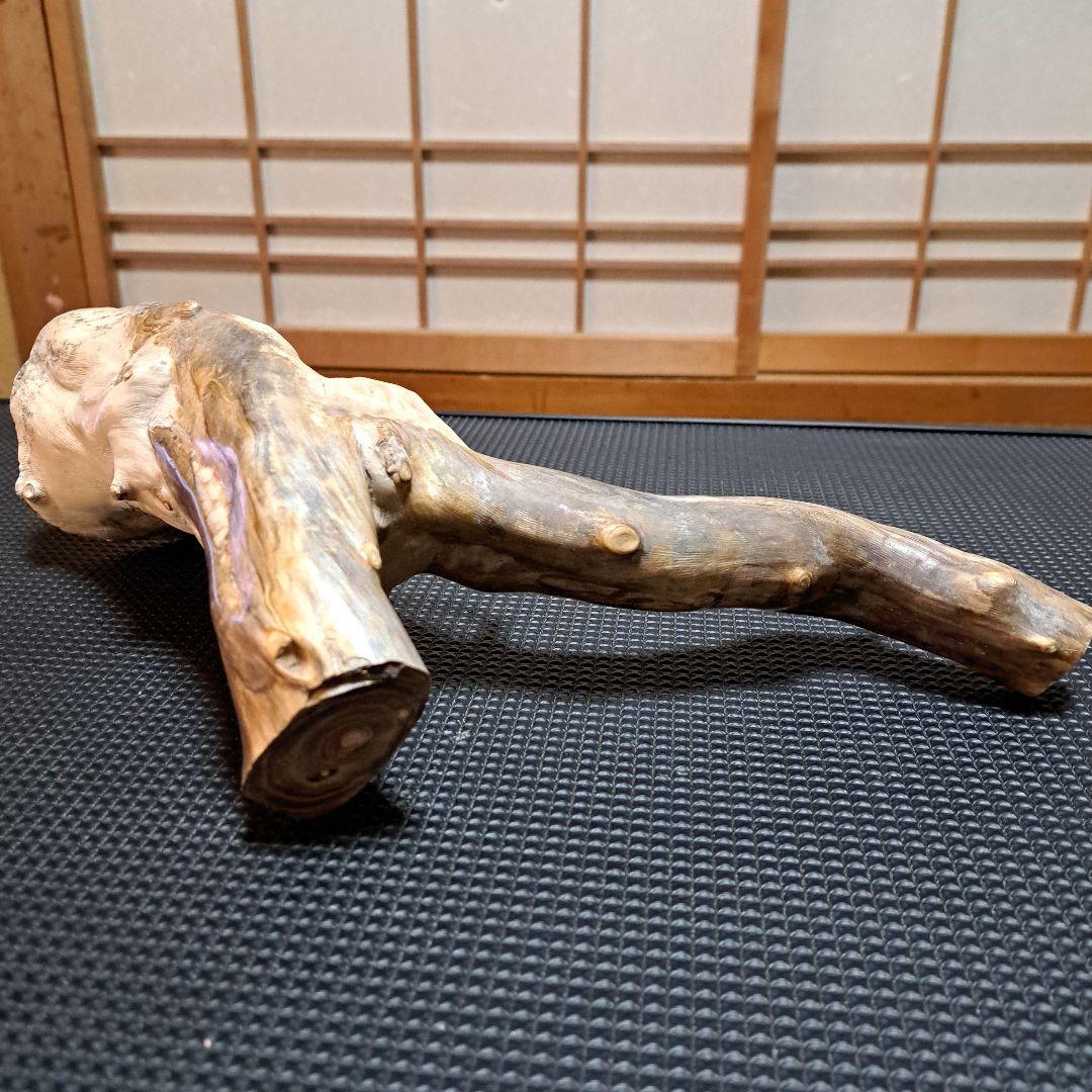 海松 深海松 レインボーコーラル 素材 原木