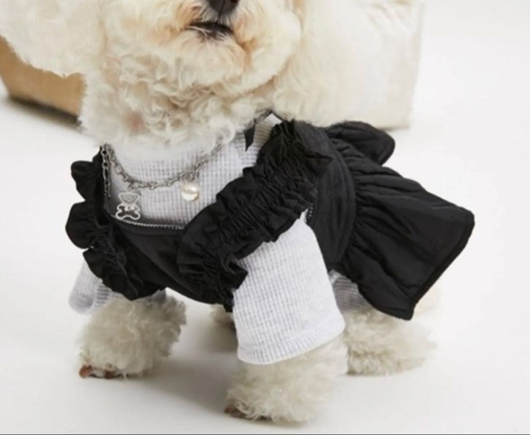 ルイスドッグ　louisdog 小型犬用フリル付きドレス 黒　　ワンピ