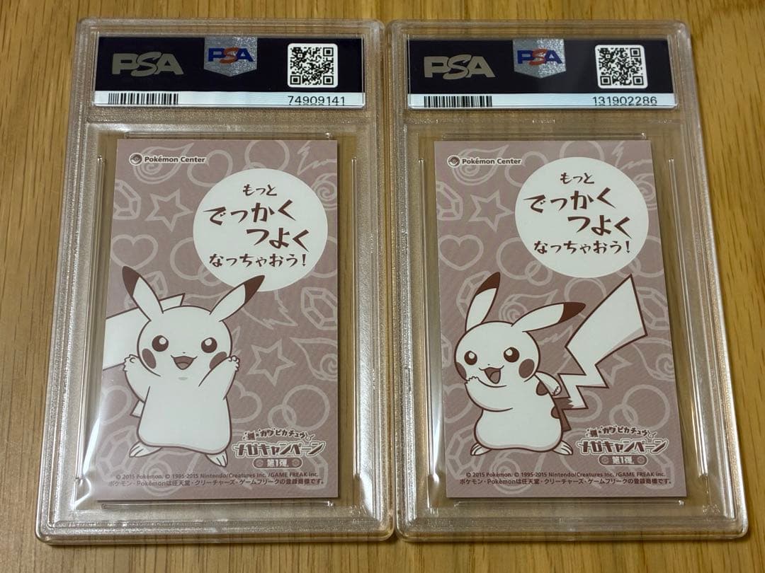 PSA10☆ポンチョを着たピカチュウ★名刺カード メガリザードン ポンチョ