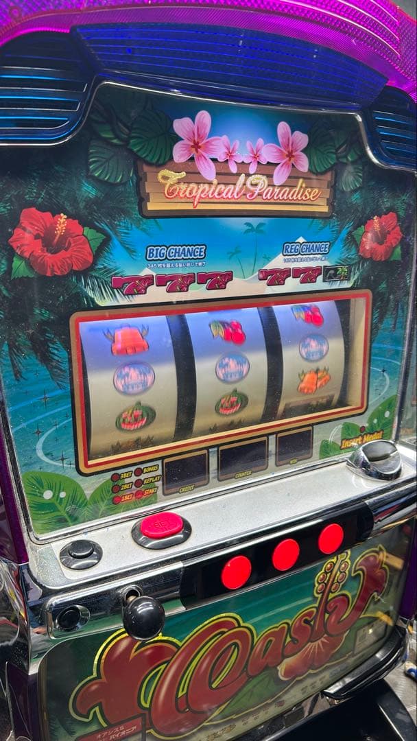 パチスロ実機 オアシス 家庭用電源