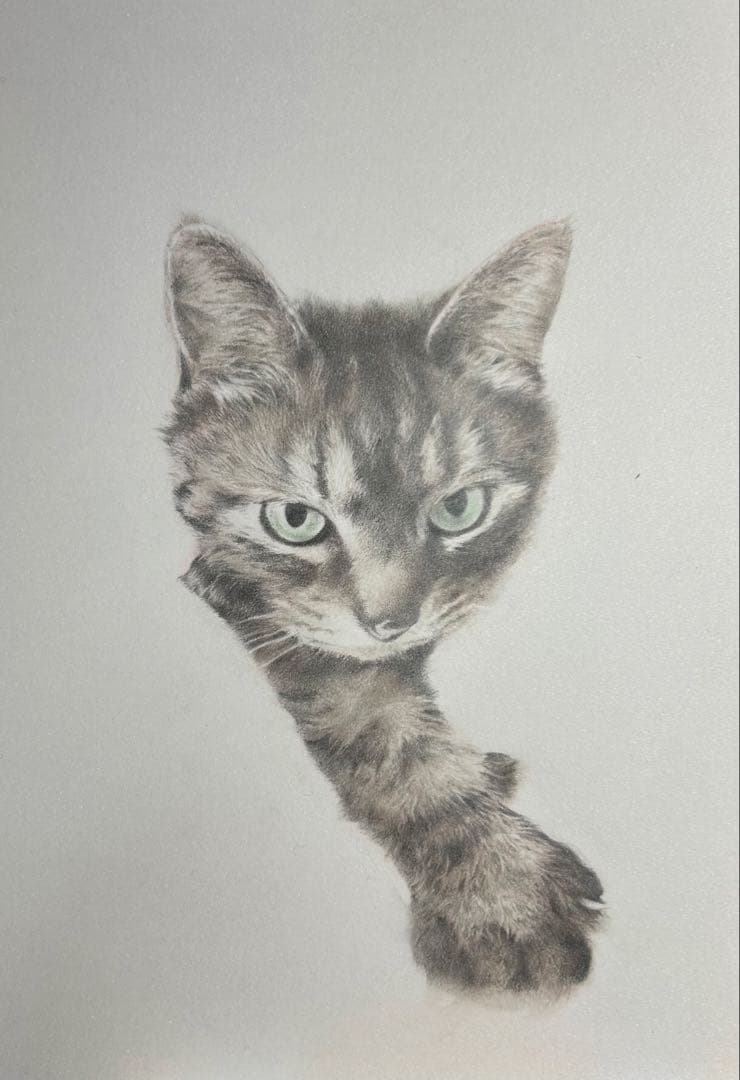 masa7716　猫猫　絵画