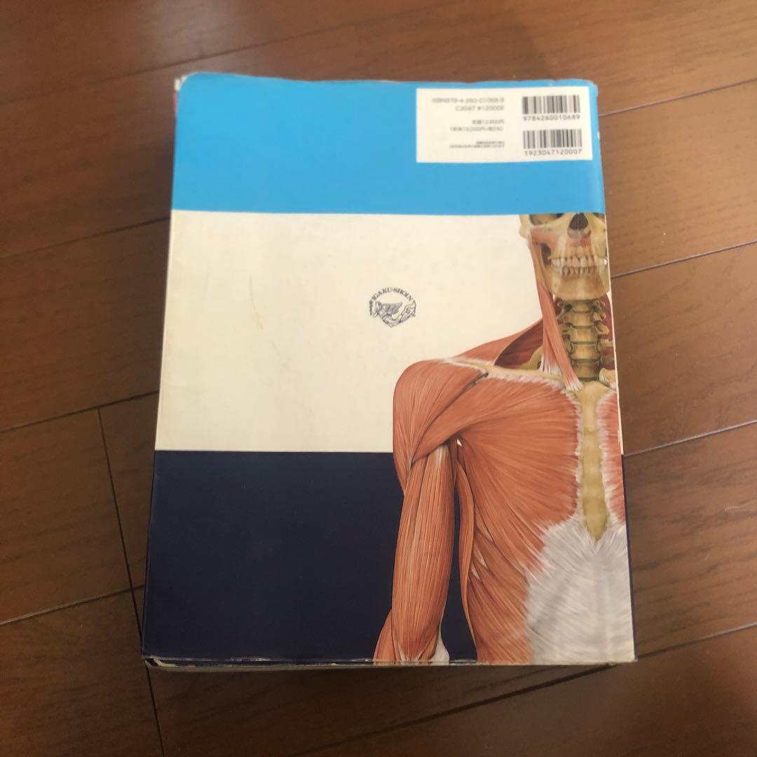 解剖学