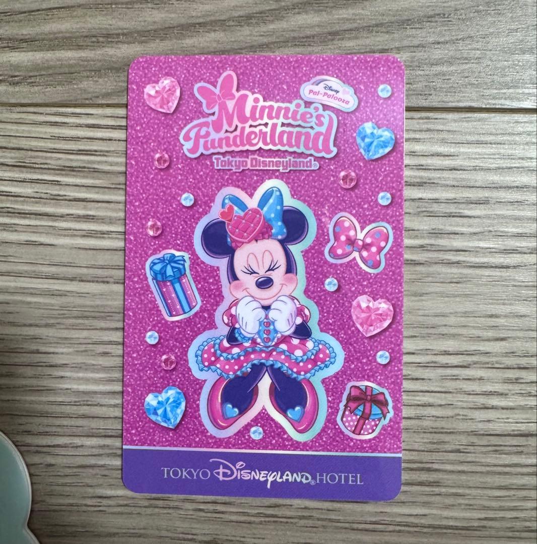 ミニーのファンダーランド ディズニーランドホテル カードキー&キーケース