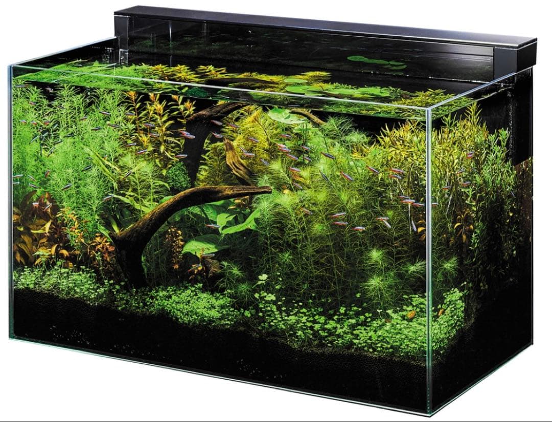 GEX 水槽 Ga Glassterior TS 600-GC