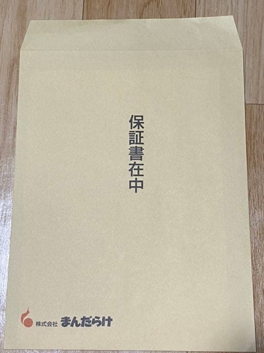 新世紀エヴァンゲリオン　直筆原画　ラフ画