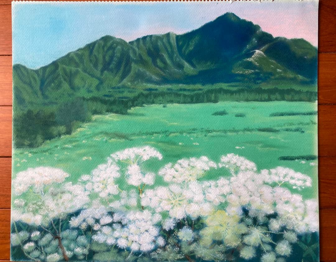箱根 金時山の夏　シシウド咲く パステル画