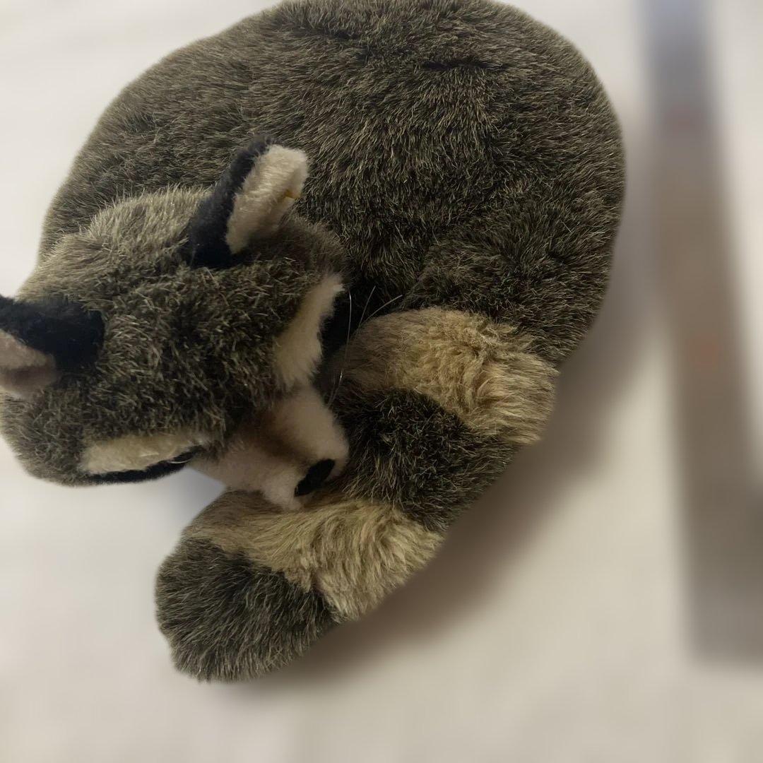 シュタイフ Steiff アライグマ ぬいぐるみ 耳ボタンあり タグなし