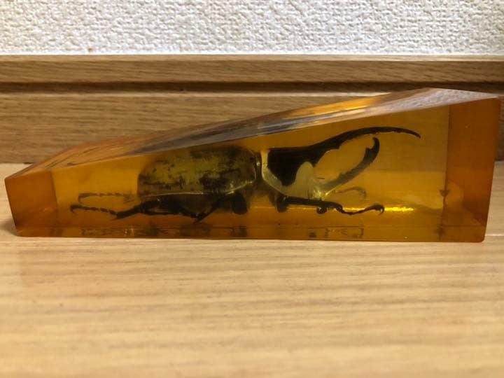 ⭐︎値下げ⭐︎ヘラクレスオオカブト 標本 樹脂 琥珀