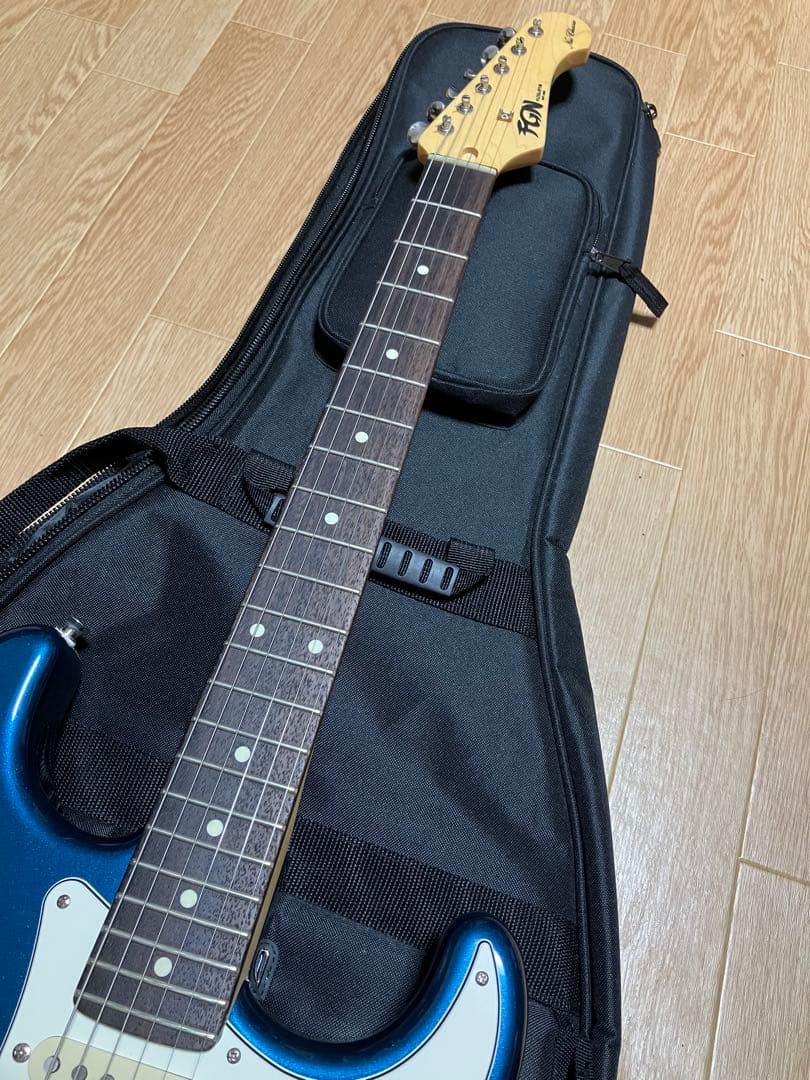 ギター FUJIGEN NST100 RAL OLP