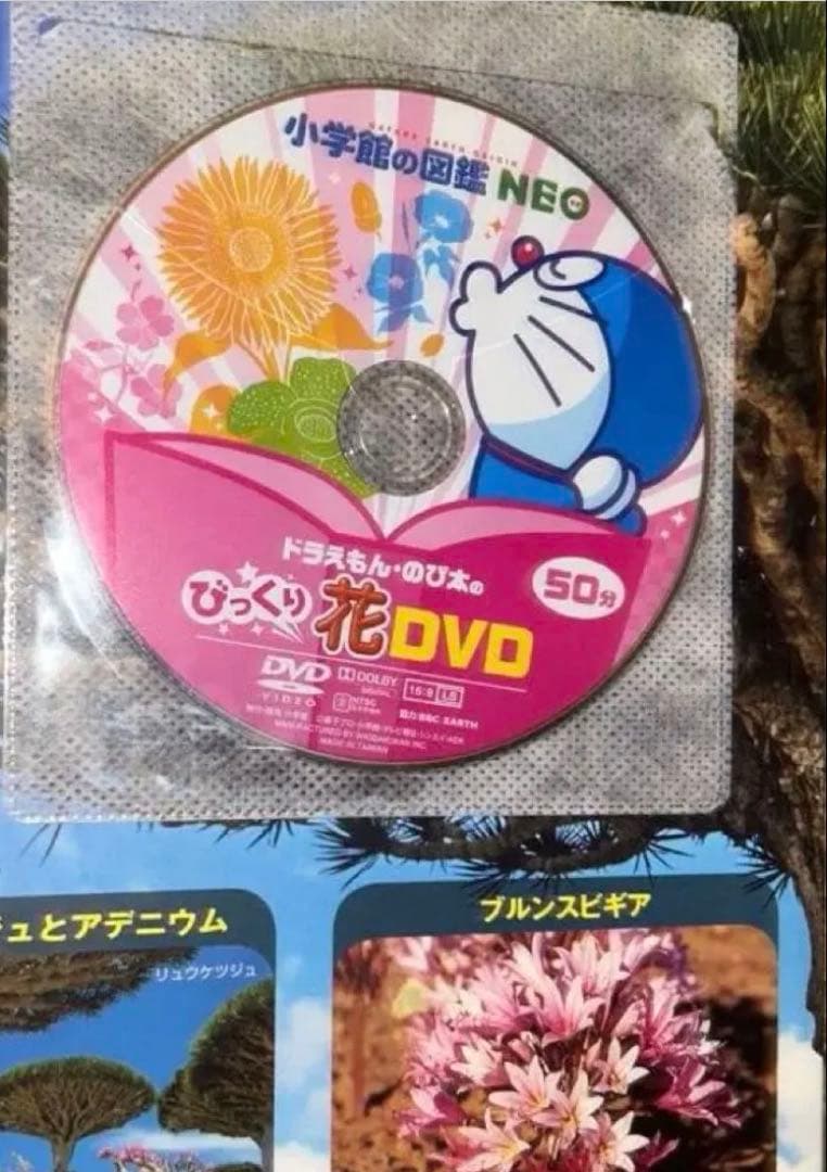 【DVD付き】新版 小学館の図鑑NEO シリーズ9冊セット