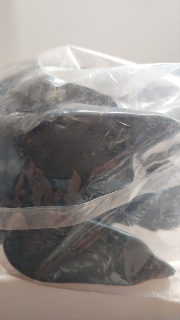 ドリームロケット　仮面の忍者赤影　甲虫怪獣アゴン ソフビ