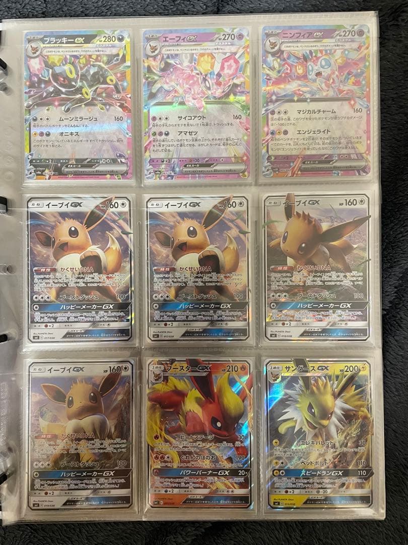 ポケモンカード　引退品　ブイズのみ　ファイル付き