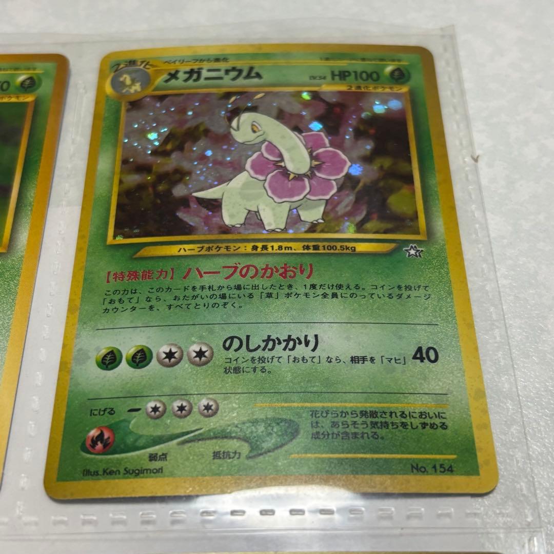 ポケモンカードneo 旧裏 プレミアムファイル 旧裏 初版 マークなし 御三家