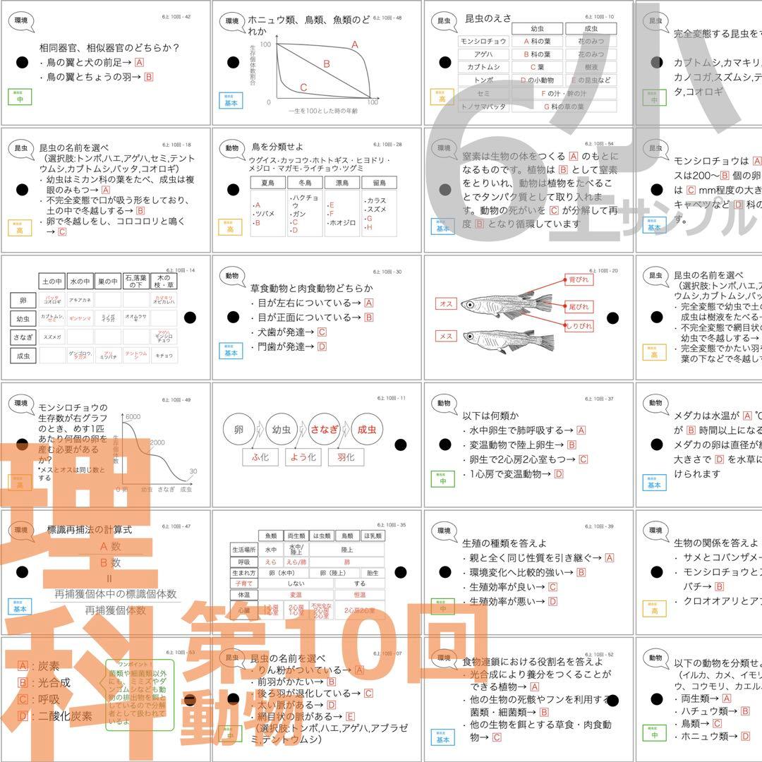 中学受験【6年上 社会・理科全セット1-17回】暗記カード 予習シリーズ 組分け