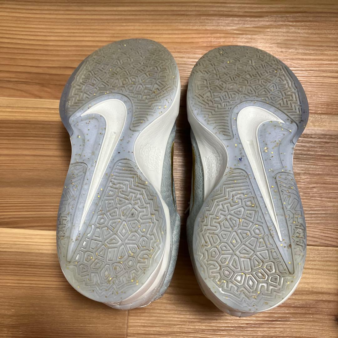 シューズ(男性用) NIKE JA 2 tree top FZ1516-001 26.5cm